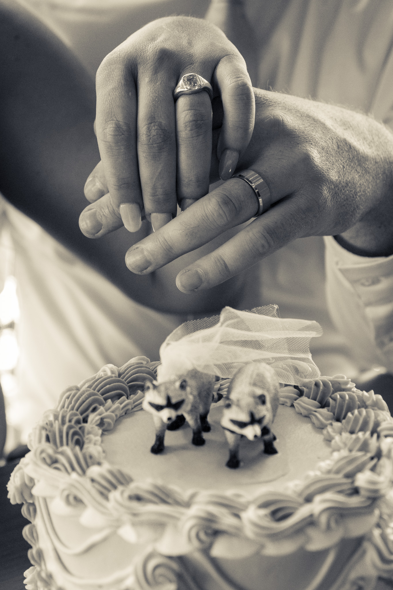 Black and white detail photograph of hands holding a whimsical wedding cake with animal cake toppers at a Denver elopement celebration