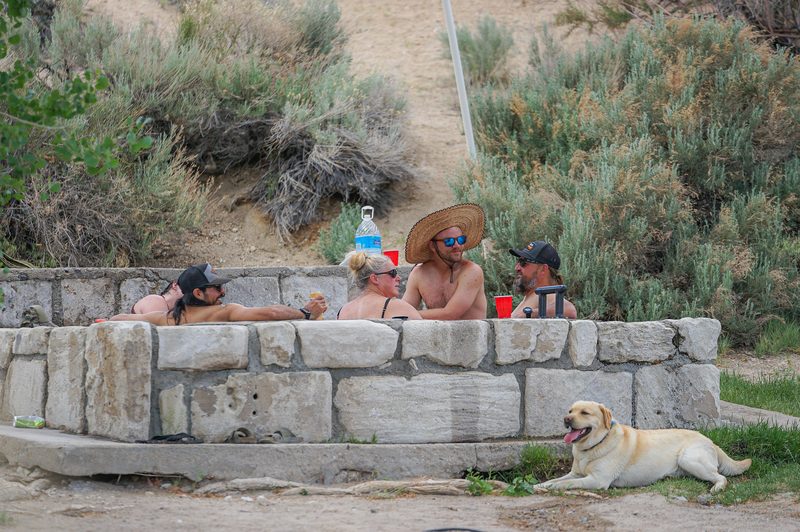Guests lounging on a stone wall beside a hot spring with a dog resting nearby