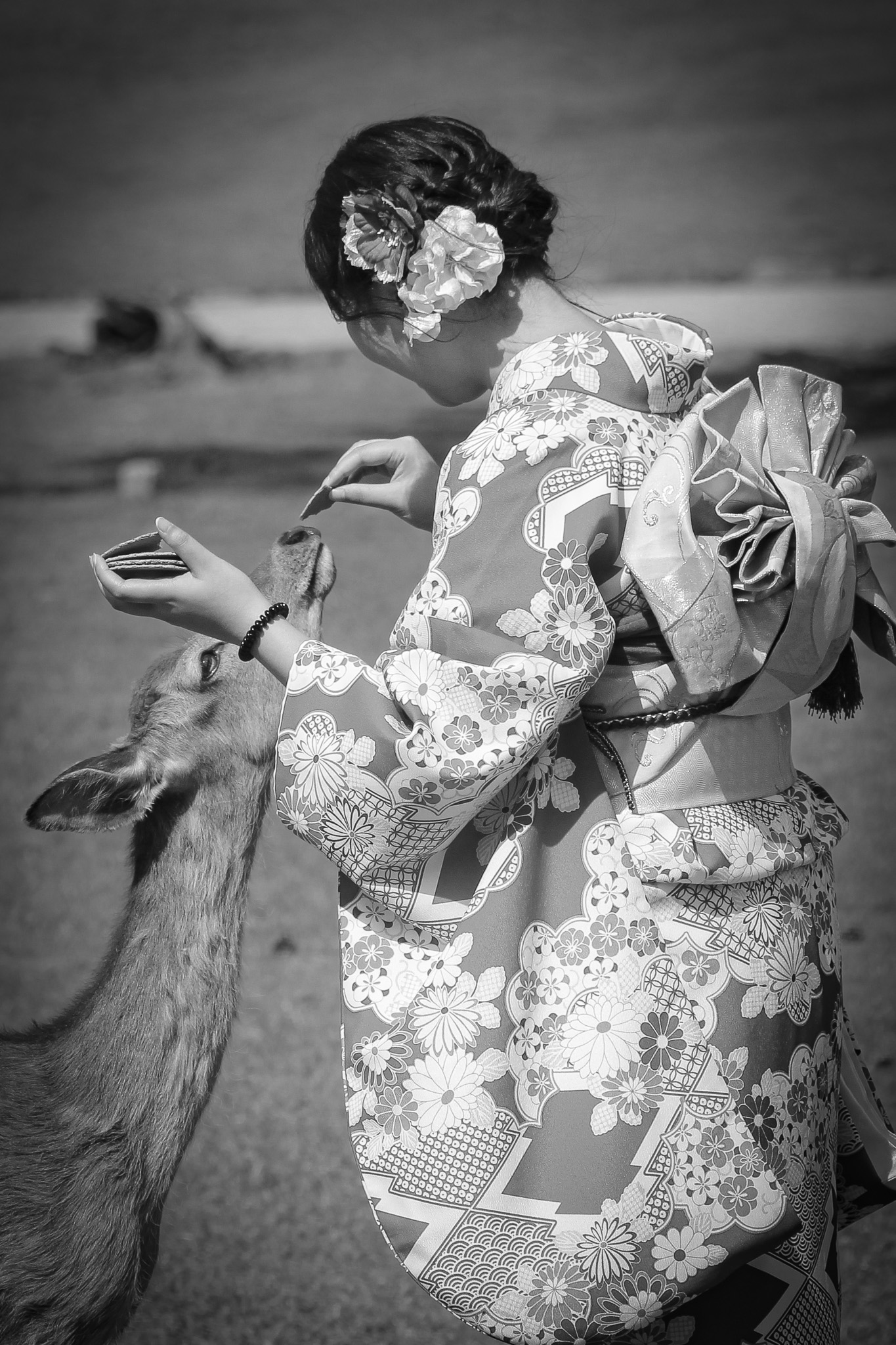 Woman in traditional kimono feeding a deer in Nara, Japan — hosted travel retreat documentation